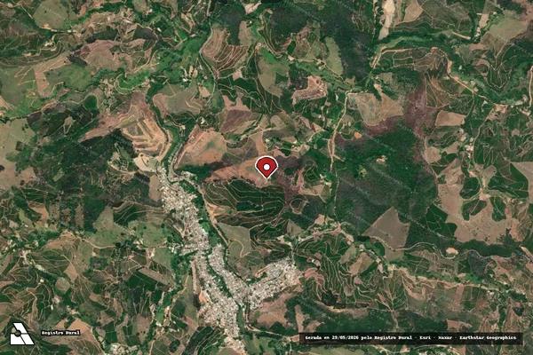Imagem de satélite de Infração da Fauna em Alto Jequitibá - MG (marcador da localização)