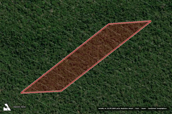 Imagem de satélite de Infração da Flora em Uruará - PA
