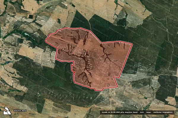 Imagem de satélite de Infração da Flora em Pedro Alexandre - BA