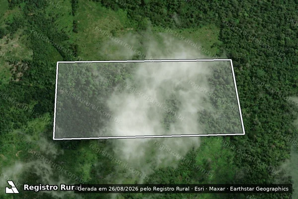 Imagem de satélite de Infração da Flora em Pacajá - PA