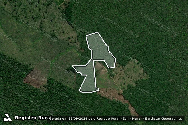 Imagem de satélite de Infração Ambiental em Apuí - AM