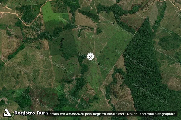 Imagem de satélite de Infração da Flora em Trairão - PA (marcador da localização)