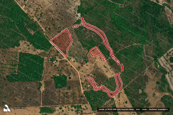 Imagem de satélite de Infração Ambiental em Uirapuru - GO