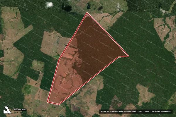Imagem de satélite de Infração da Flora em Boca do Acre - AM