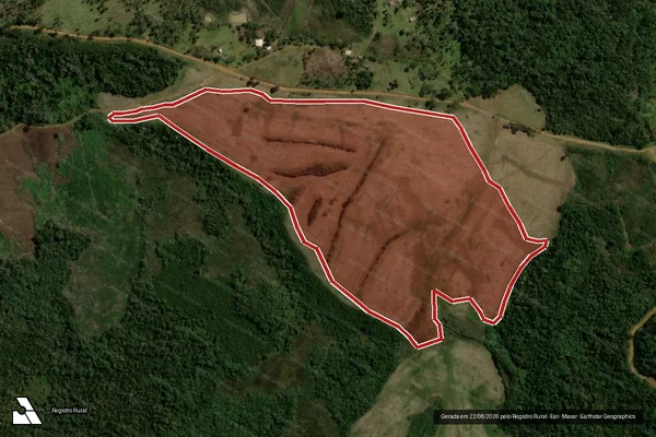 Imagem de satélite de Infração da Flora em Guarapuava - PR