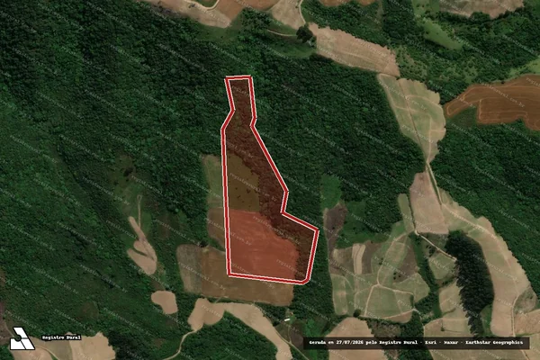 Imagem de satélite de Infração da Flora em Prudentópolis - PR