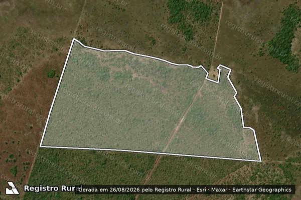 Imagem de satélite — Embargo Ambiental - São Félix Do Araguaia/MT