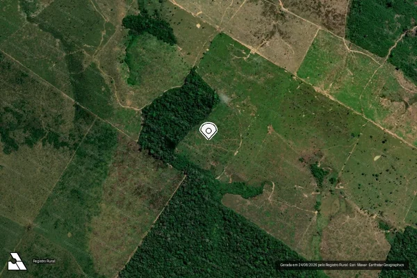 Imagem de satélite de Infração Ambiental em Apuí - AM (marcador da localização)