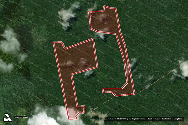 Imagem de satélite de Infração da Flora em Anapu - PA