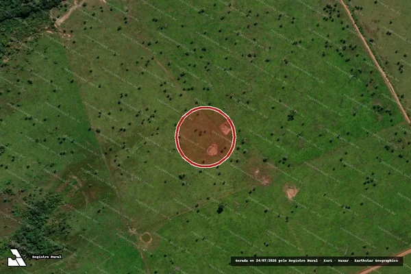 Imagem de satélite — Embargo IBAMA — Desmatamento - Guajará-Mirim/RO