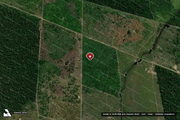 Imagem de satélite de Infração Ambiental em Buritis - RO (marcador da localização)