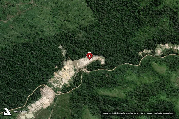 Imagem de satélite de Infração Ambiental em Novo Progresso - PA (marcador da localização)