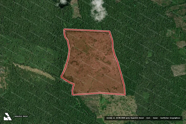 Imagem de satélite de Infração Ambiental em Caroebe - RR