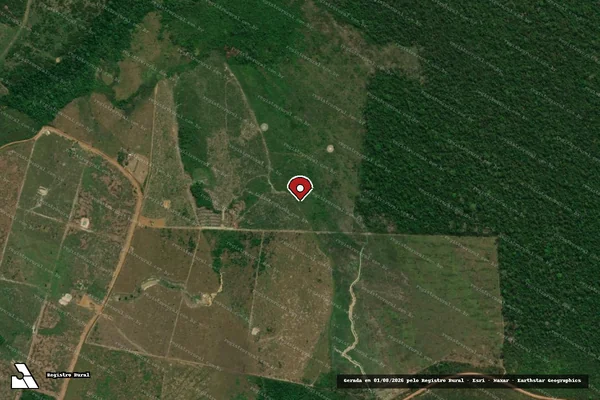 Imagem de satélite de Infração da Flora em Machadinho D'Oeste - RO (marcador da localização)