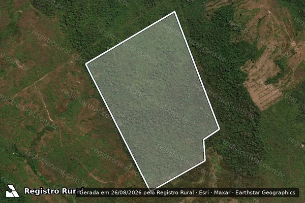 Imagem de satélite de Infração Ambiental em Itaituba - PA