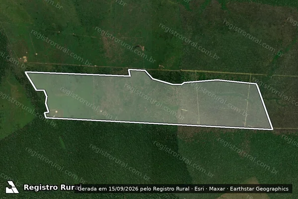 Imagem de satélite de Infração da Flora em Boca do Acre - AM