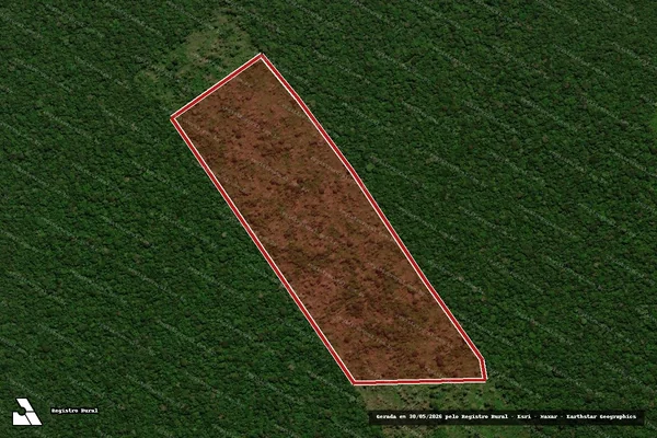 Imagem de satélite de Infração da Flora em Brasília - DF