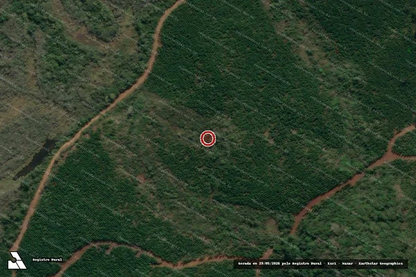 Imagem de satélite de Infração Ambiental em União da Vitória - PR