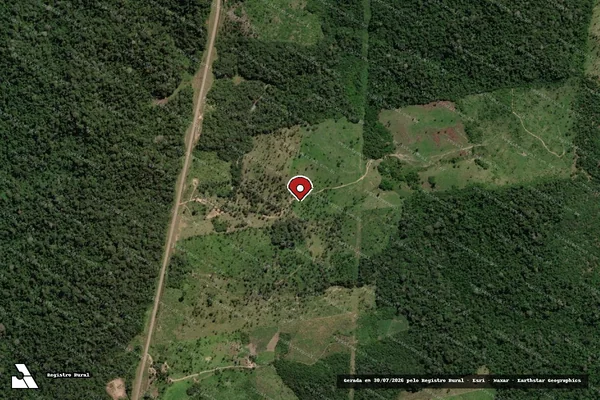 Imagem de satélite de Infração da Flora em Placas - PA (marcador da localização)