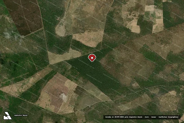 Imagem de satélite — Embargo IBAMA — Infração da Flora — Salvador/BA