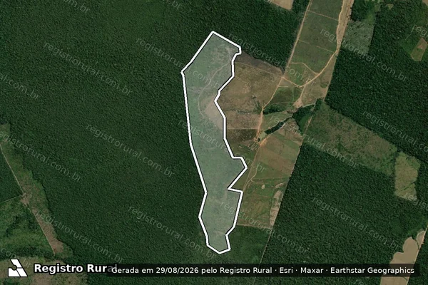 Imagem de satélite de Infração Ambiental em Humaitá - AM