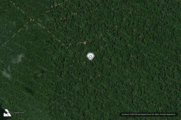 Imagem de satélite de Infração da Flora em Prainha - PA (marcador da localização)
