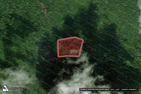 Imagem de satélite — Embargo IBAMA — Infração da Flora — Calçoene/AP