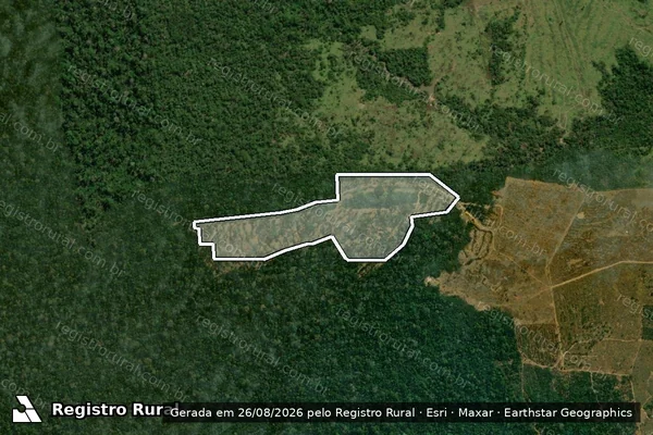 Imagem de satélite de Infração da Flora em Porto Velho - RO