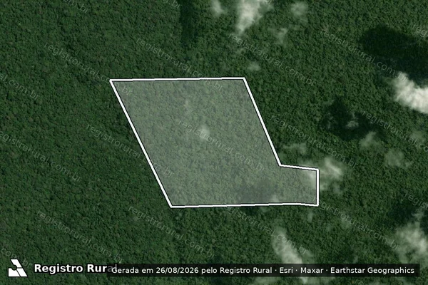 Imagem de satélite de Infração da Flora em Portel - PA