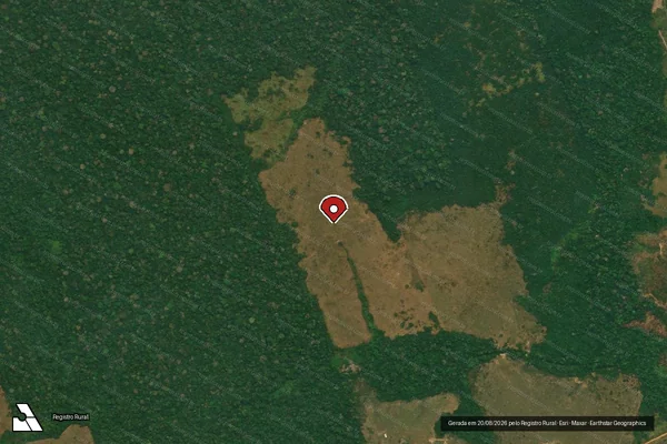 Imagem de satélite de Infração Ambiental em Lábrea - AM (marcador da localização)