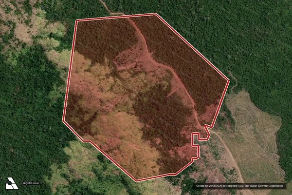 Imagem de satélite de Infração Ambiental em São Félix do Xingu - PA