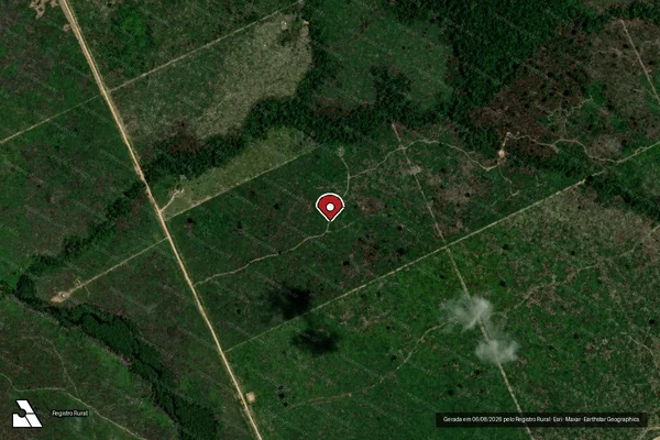 Imagem de satélite de Infração da Flora em Porto Velho - RO (marcador da localização)