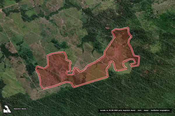 Imagem de satélite de Infração da Flora em Novo Progresso - PA