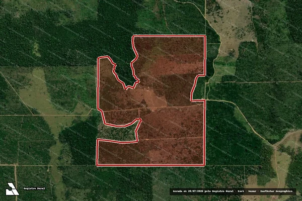 Imagem de satélite de Infração da Flora em Colniza - MT