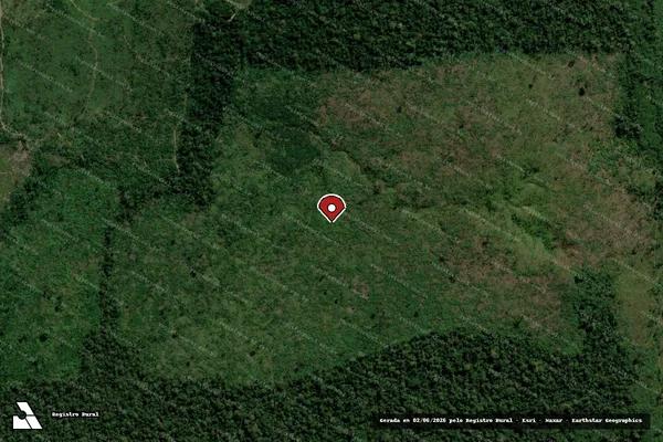 Imagem de satélite de Infração da Flora em Porto Velho - RO (marcador da localização)