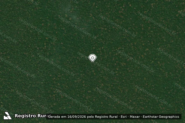 Imagem de satélite — Embargo IBAMA — Infração da Flora - Boca do Acre/AM