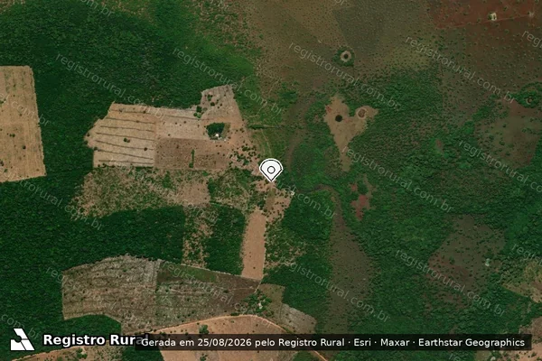 Imagem de satélite de Infração da Flora em Santa Terezinha - MT (marcador da localização)