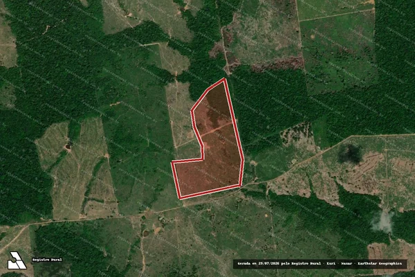 Imagem de satélite de Infração da Flora em Porto Velho - RO