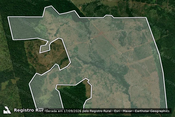 Imagem de satélite — Embargo IBAMA — Infração da Flora - Altamira/PA