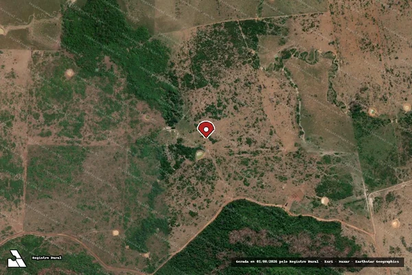 Imagem de satélite de Infração Ambiental em São Félix do Xingu - PA (marcador da localização)