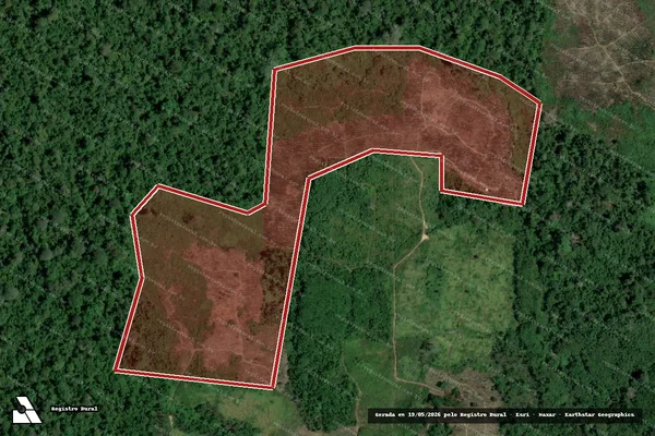 Imagem de satélite de Infração da Flora em Caroebe - RR