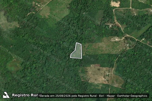 Imagem de satélite de Infração da Flora em Santarém - PA