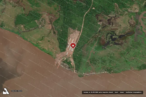 Imagem de satélite de Infração Ambiental em Almeirim - PA (marcador da localização)