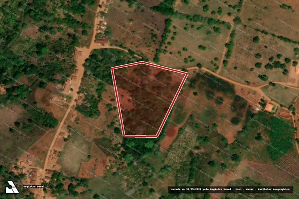 Imagem de satélite de Infração da Flora em Palmeira dos Índios - AL