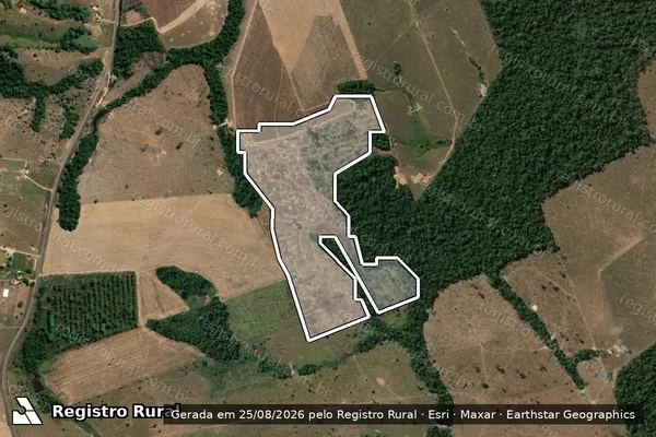 Imagem de satélite de Infração da Flora em Cotriguaçu - MT