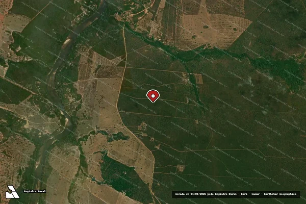 Imagem de satélite de Infração da Flora em Bom Jardim de Goiás - GO (marcador da localização)