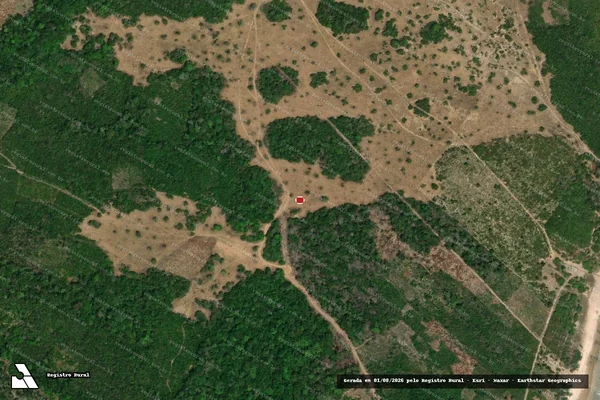 Imagem de satélite de Infração Ambiental em Santarém - PA