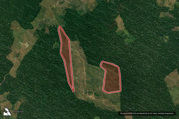 Imagem de satélite de Infração da Flora em Feijó - AC