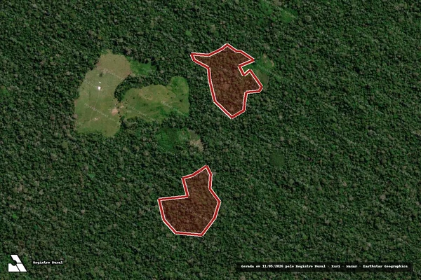 Imagem de satélite — Embargo IBAMA — Infração da Flora — Feijó/AC
