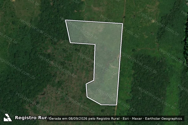 Imagem de satélite de Infração da Flora em Canutama - AM